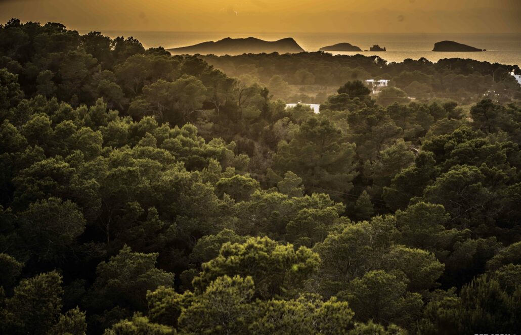 YOGA MINDFULNESS IBIZA GROEI IN ZELFLIEFDE, ZINGEVING EN GELUK