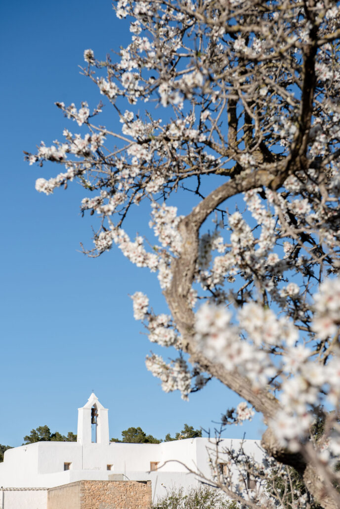 YOGA MINDFULNESS IBIZA GROEI IN ZELFLIEFDE, ZINGEVING EN GELUK
