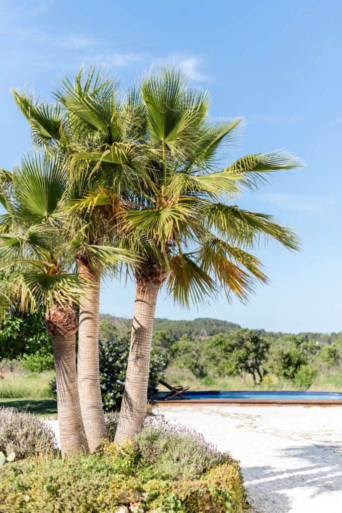 YOGA MINDFULNESS IBIZA GROEI IN ZELFLIEFDE, ZINGEVING EN GELUK