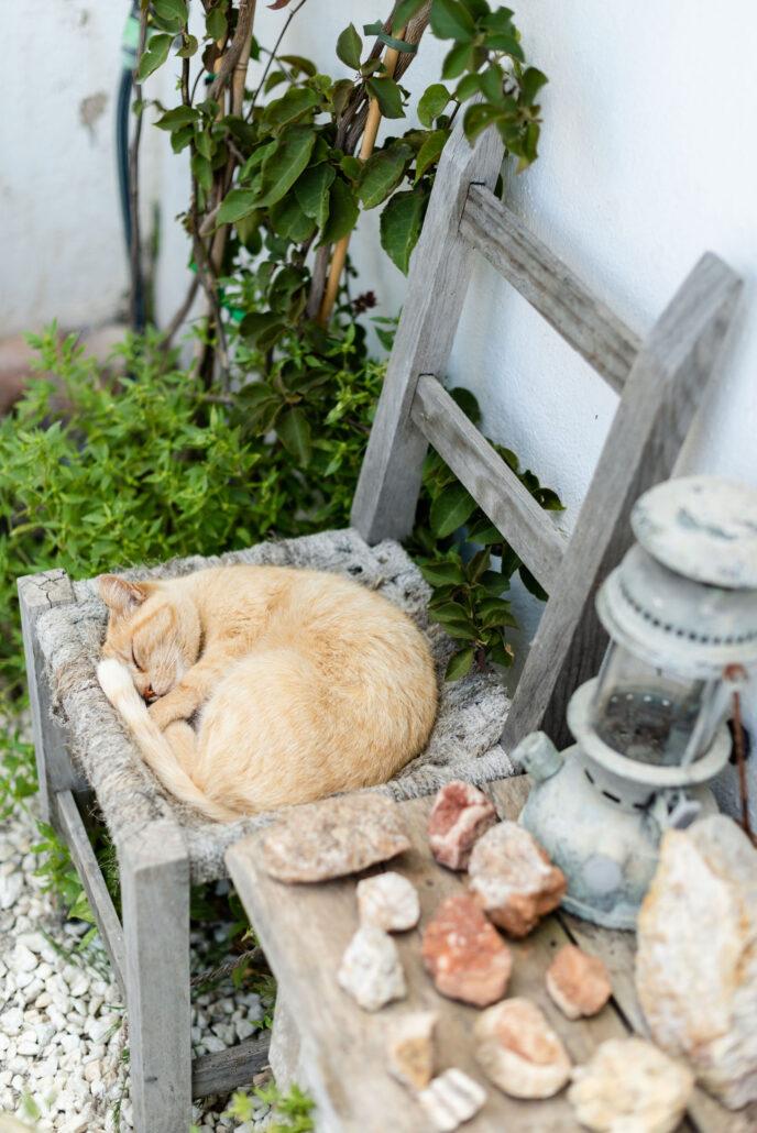 YOGA MINDFULNESS IBIZA GROEI IN ZELFLIEFDE, ZINGEVING EN GELUK