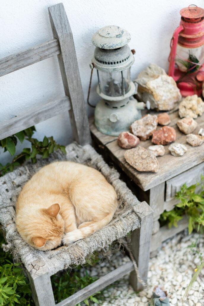 YOGA MINDFULNESS IBIZA GROEI IN ZELFLIEFDE, ZINGEVING EN GELUK