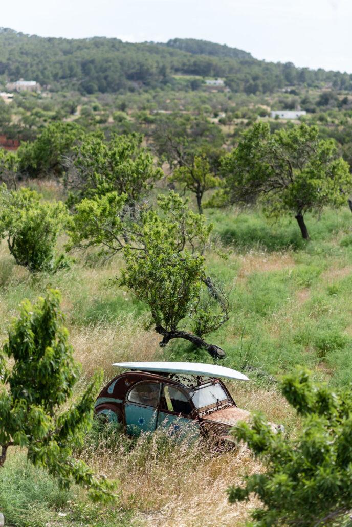 YOGA MINDFULNESS IBIZA GROEI IN ZELFLIEFDE, ZINGEVING EN GELUK