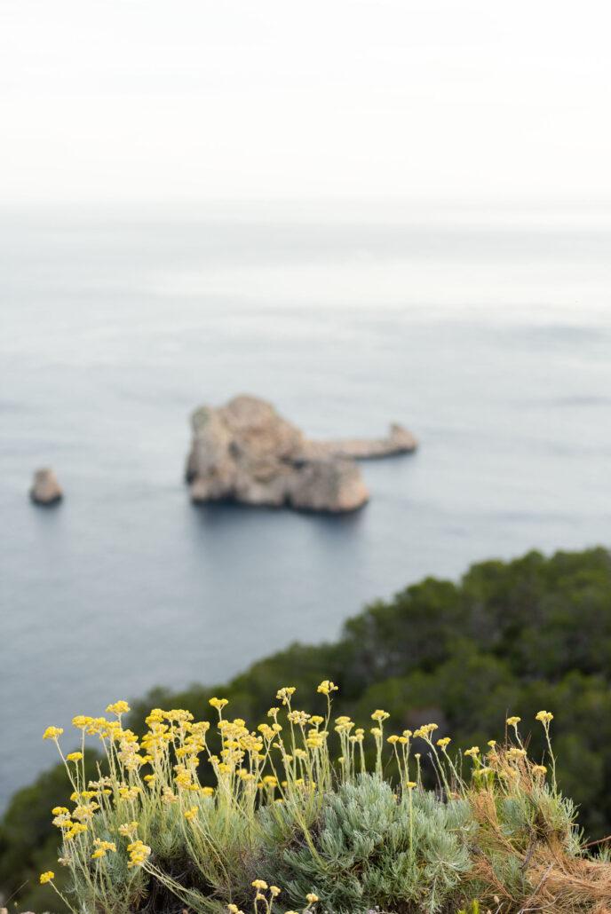 YOGA MINDFULNESS IBIZA GROEI IN ZELFLIEFDE, ZINGEVING EN GELUK